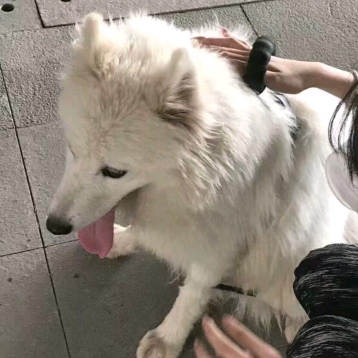 你好
