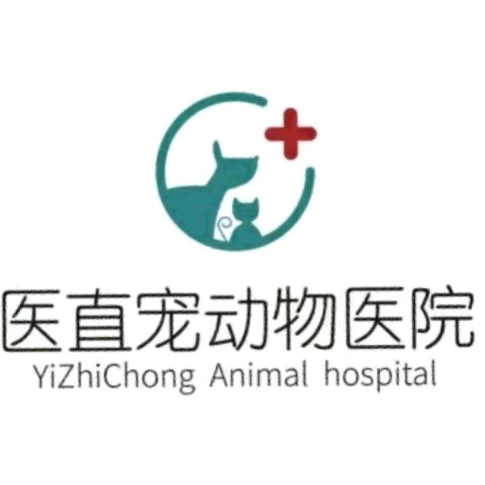 医直宠宠物医院（长江路店）