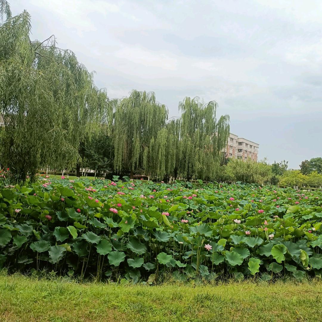 不要想太多，开心就好