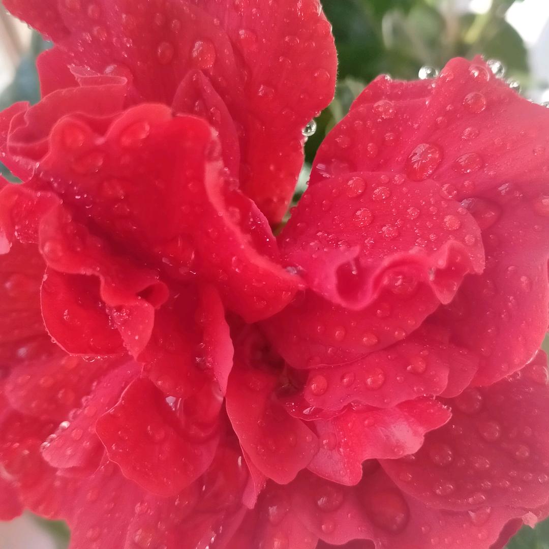 春暖花开