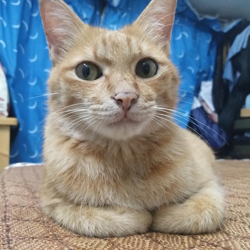 圈圈
