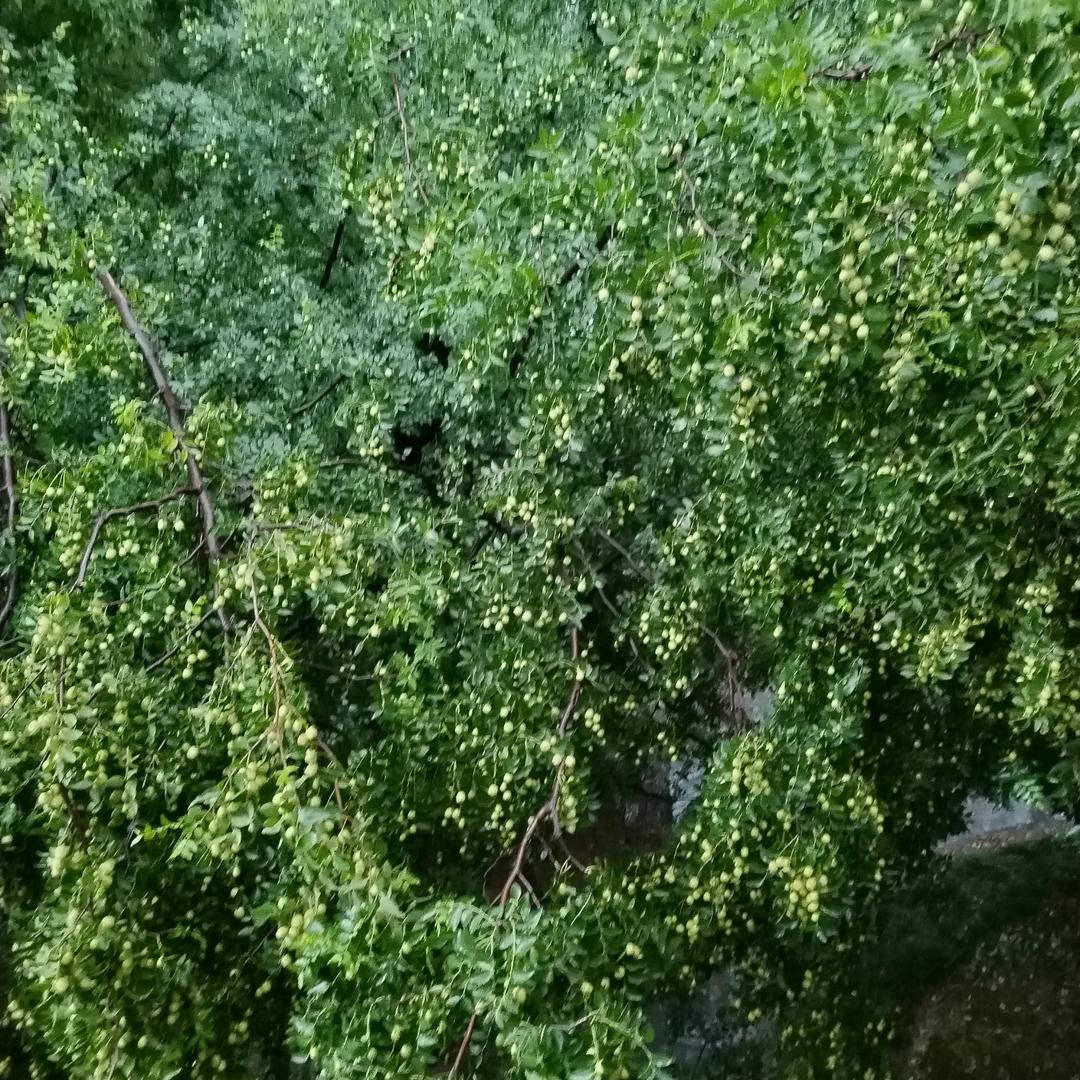 汪匀三