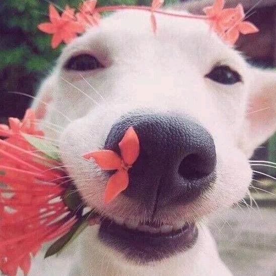 小宇哥.