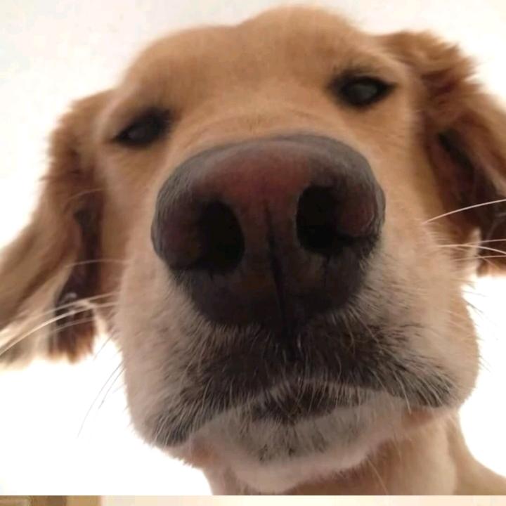 w_