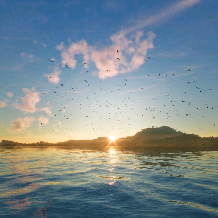 周先生👨‍🏫