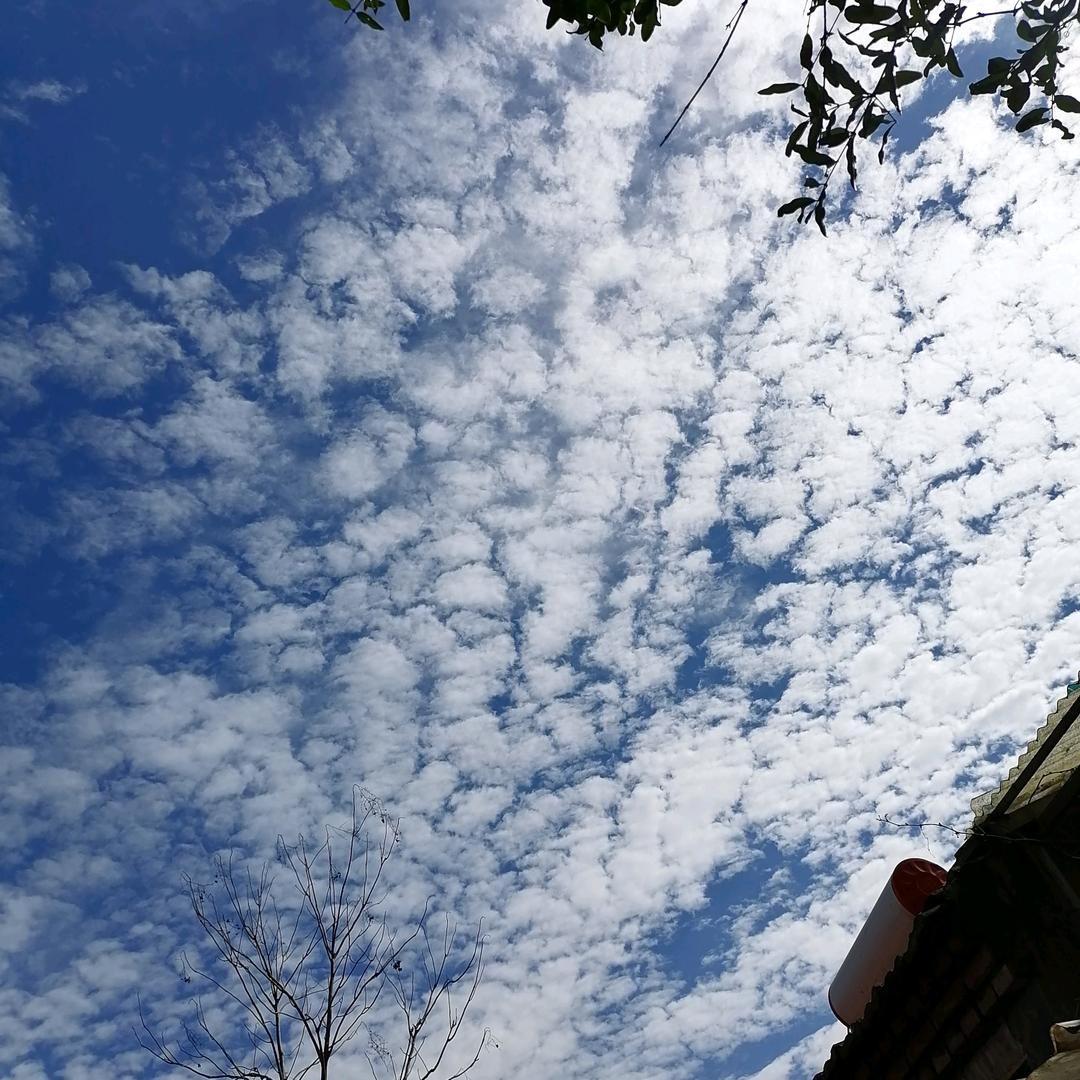红玲，岁月静好