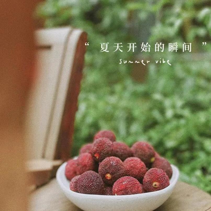 仙居东魁杨梅-有哇家