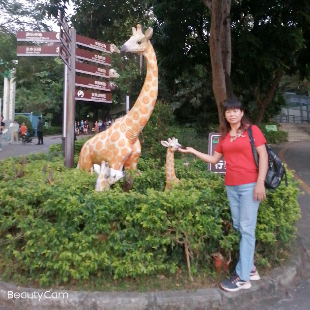 如意林姐💃💃