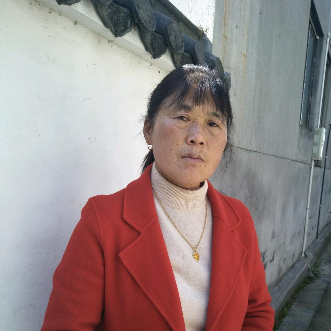 张金苏