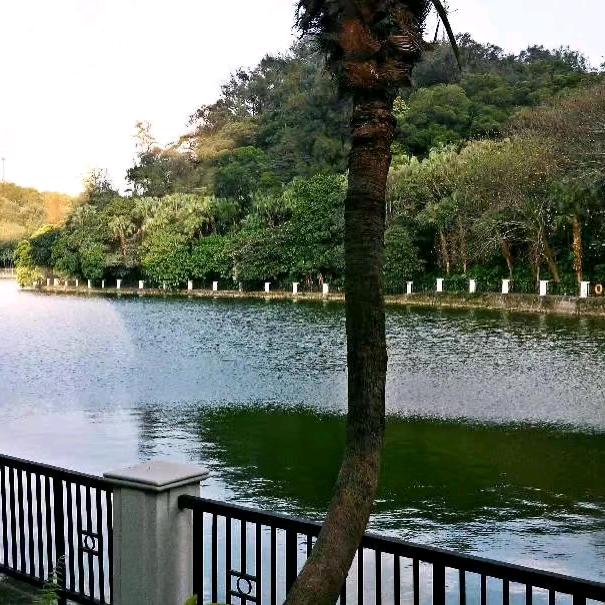 鸿材家具厂