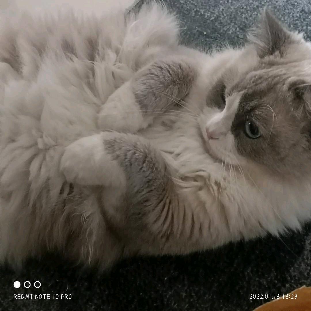 🌈吃不完根本吃不完🌈