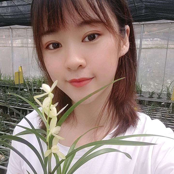 小林兰花