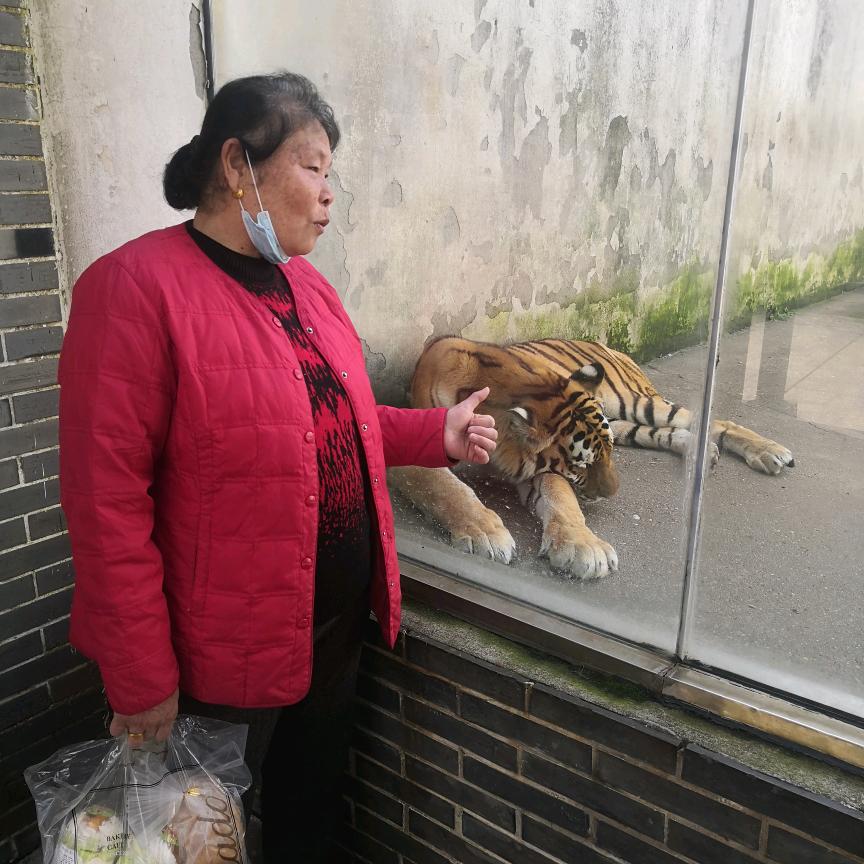 老胡