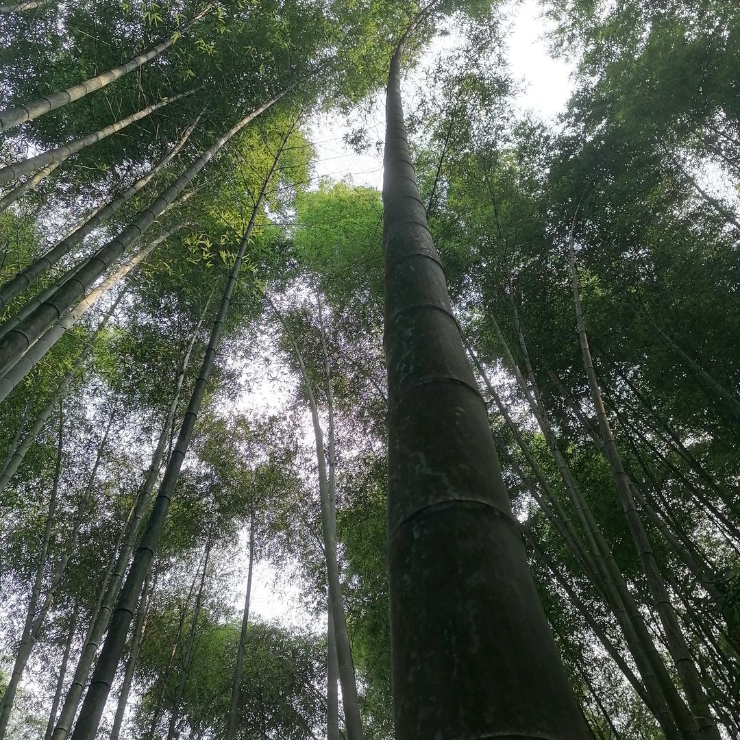 守望
