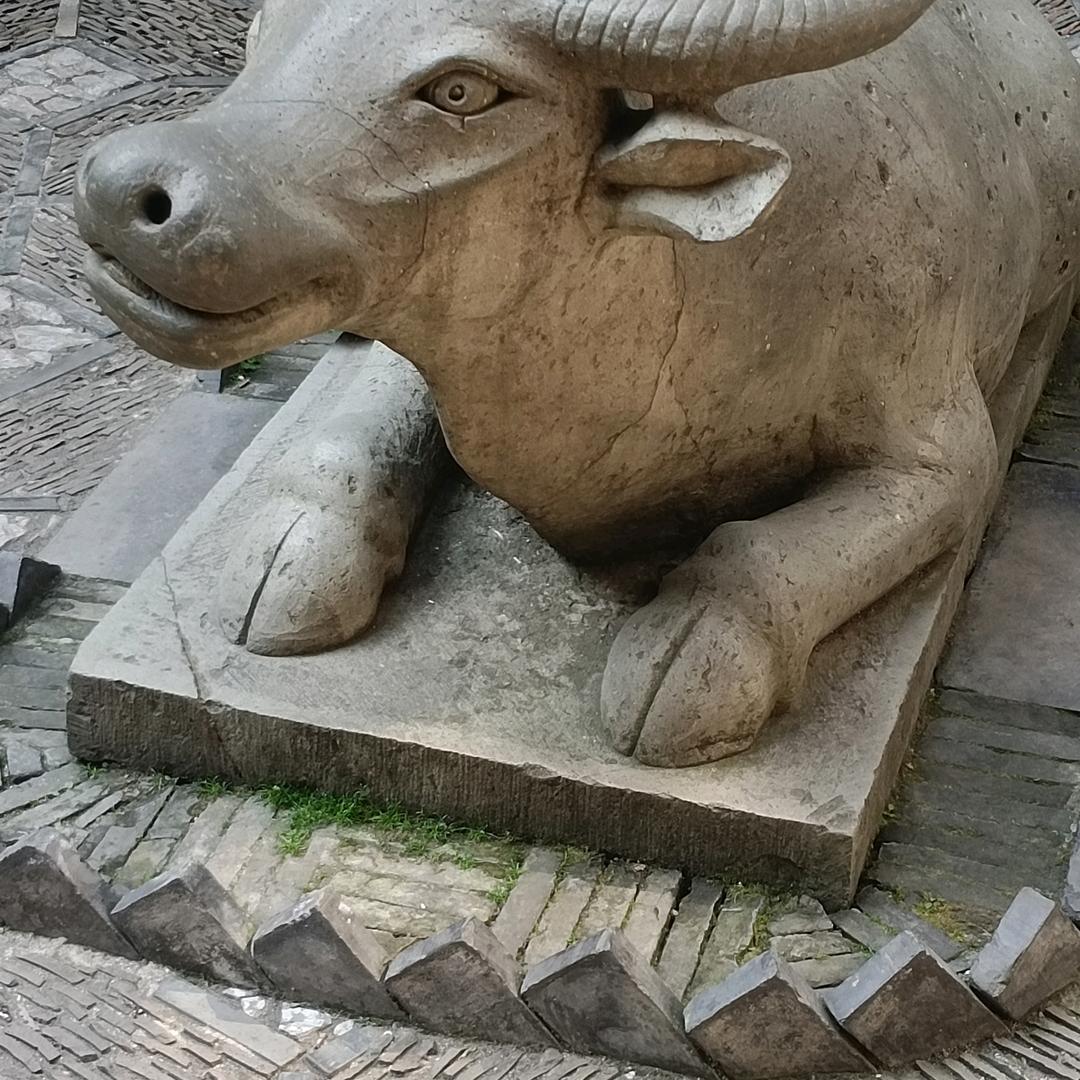 奋进