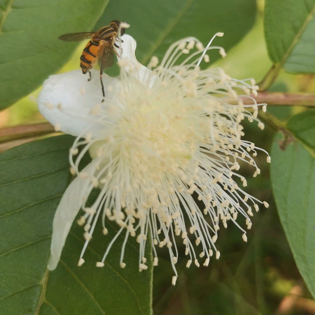 (*˘︶˘*).｡.:*♡默