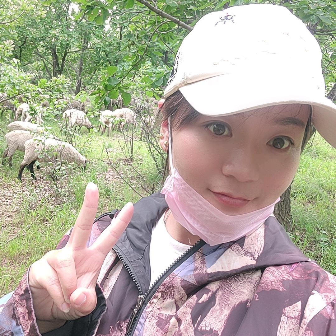 小媳妇牛羊养殖