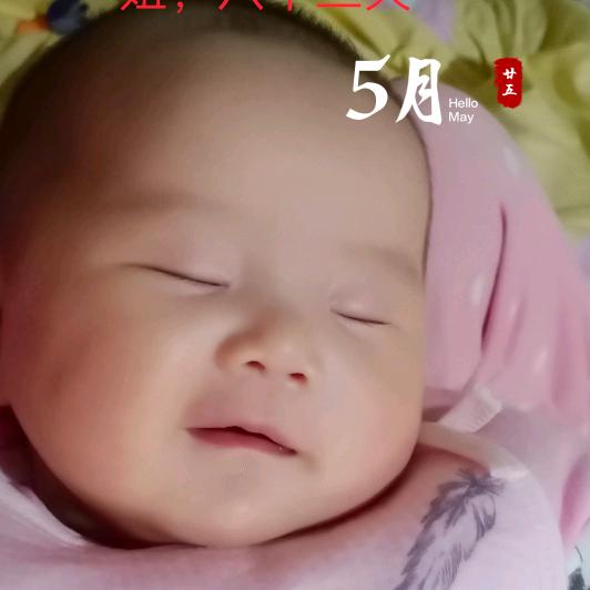 鲁妞妞