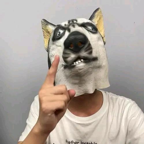狗哥不苟