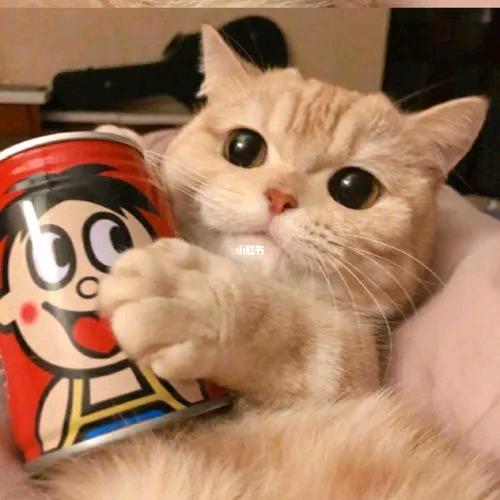 一生只够爱一人