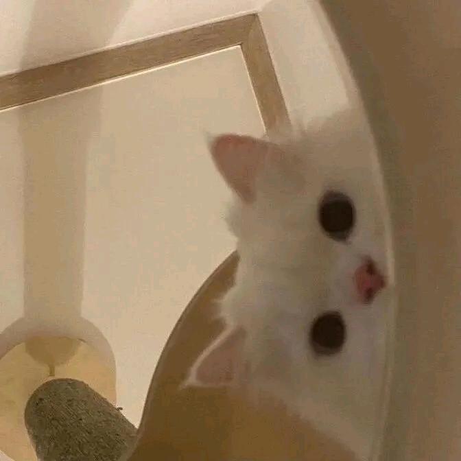 Fff.💙