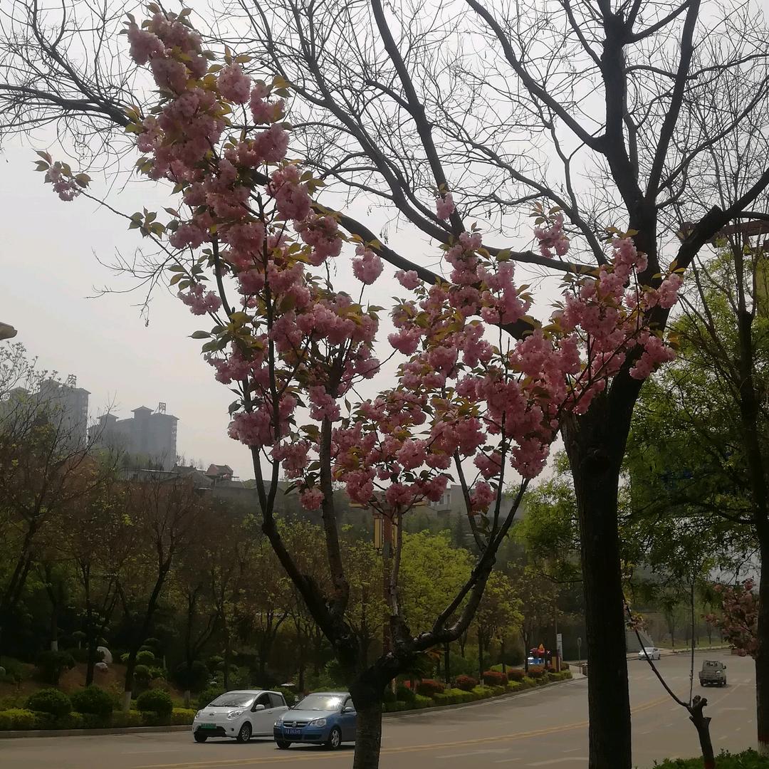 简单快乐