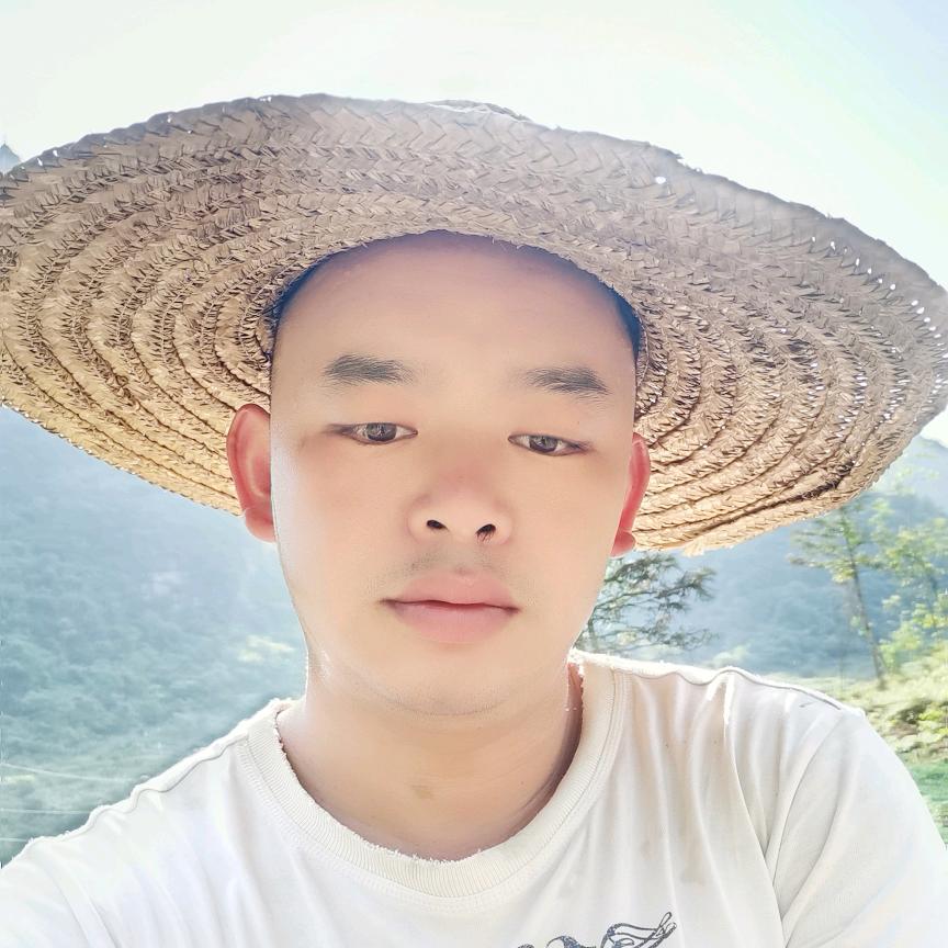 毛毛