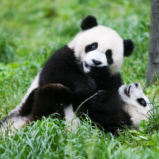 天心月圆