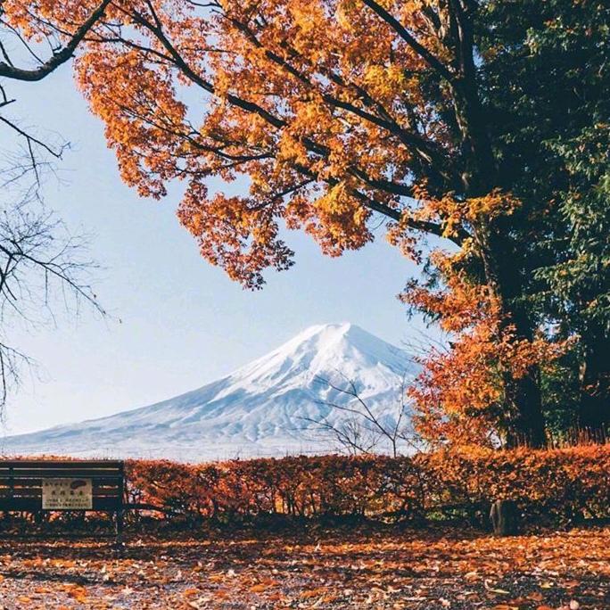 温暖而遥远