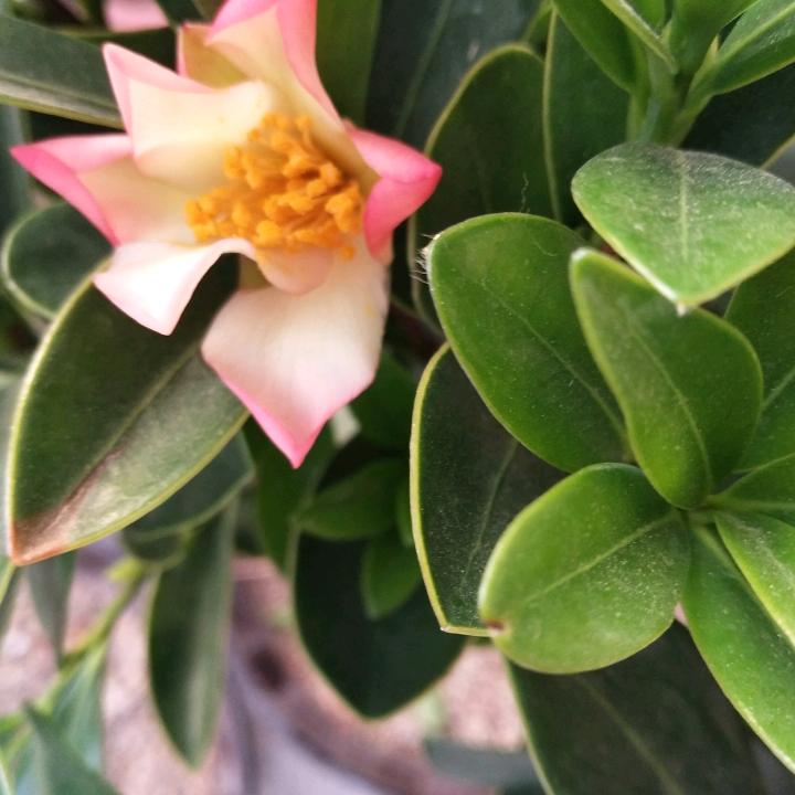 用户2053566624298顺其自然