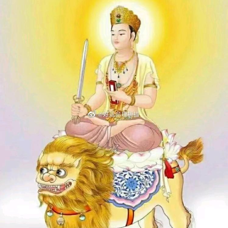 开心菇凉