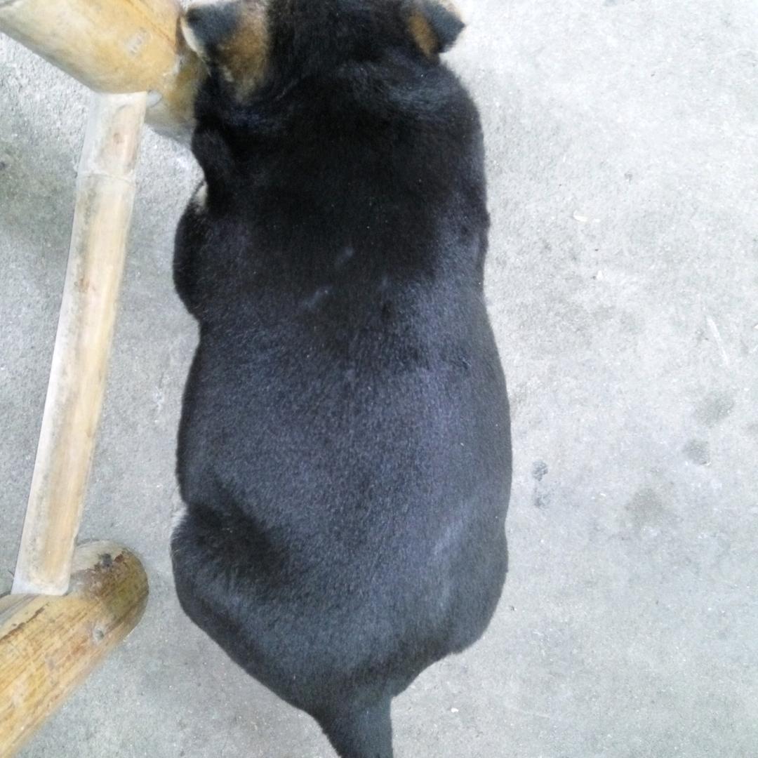 木子赞