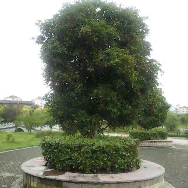 笑对坎坷
