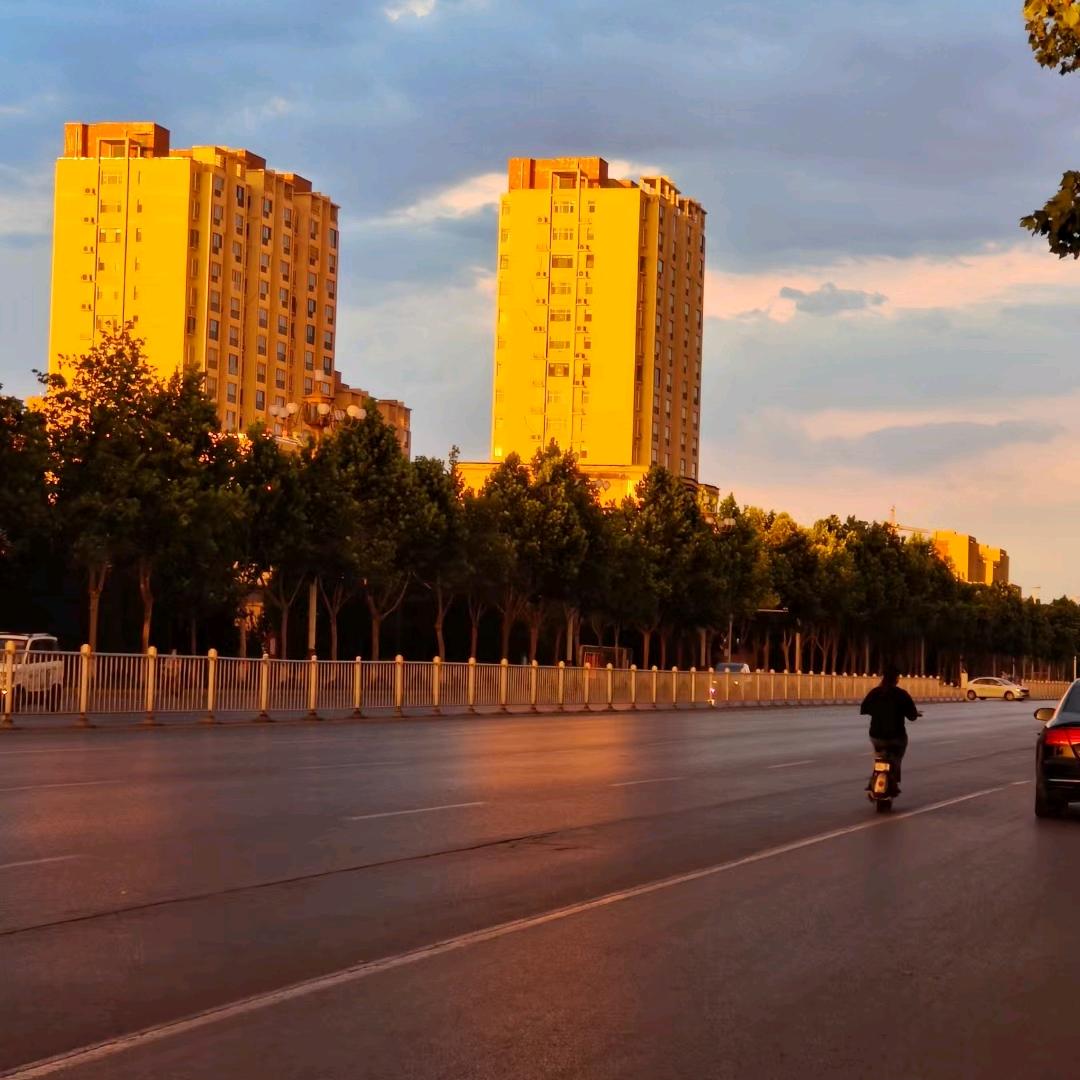 真空泵A普旭真空泵A福豫真空泵厂家