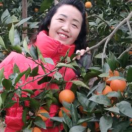 汤维英(不须懂我团队)