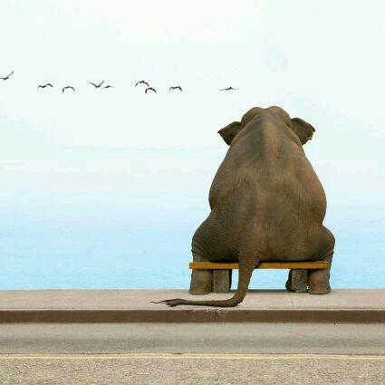 逢人不说人间事