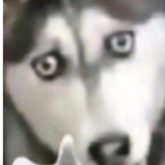 捷德