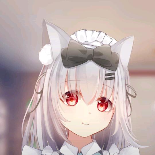是晓言啦