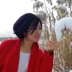 柳晓红
