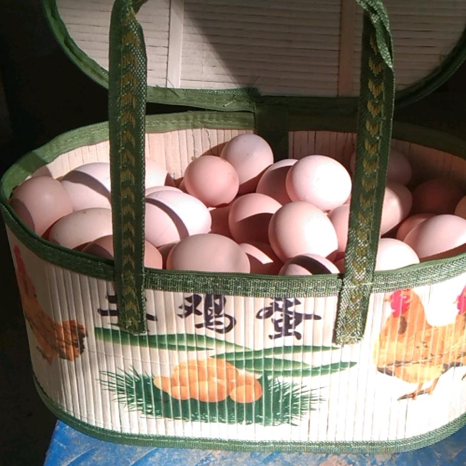 梦缘生态农场【涛哥】