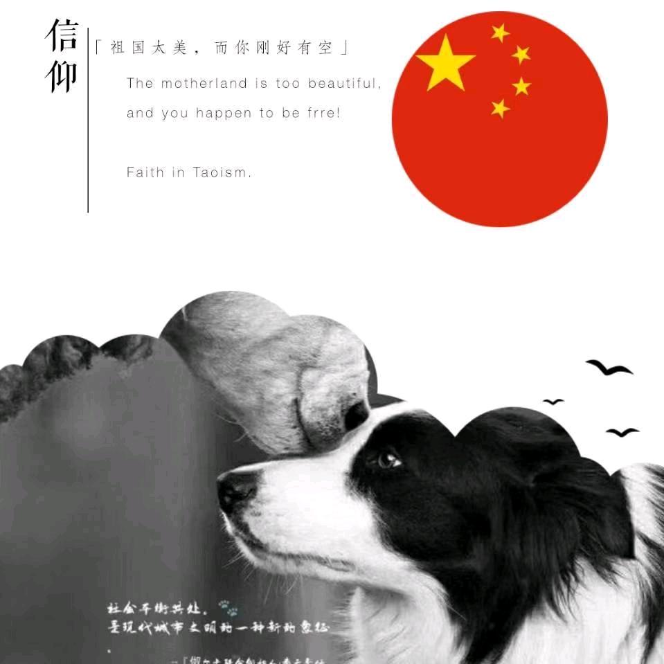 伮尔哈哈与伮尔嫲嫲（宠物体验中心）