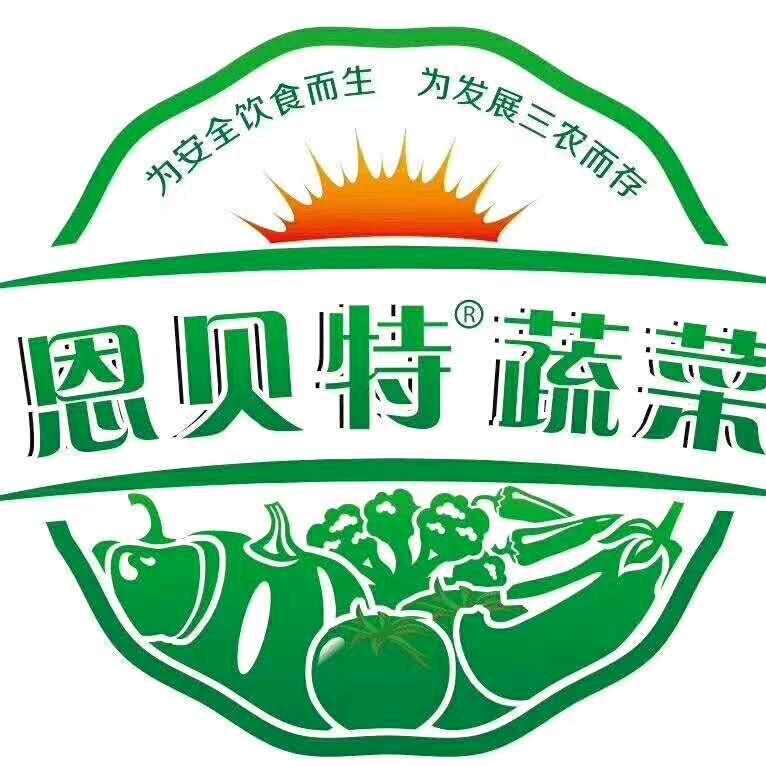 寿光刘一手