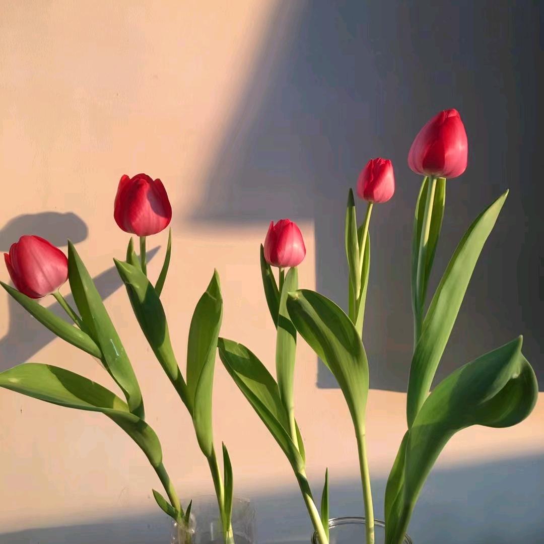 酸甜苦辣有点咸