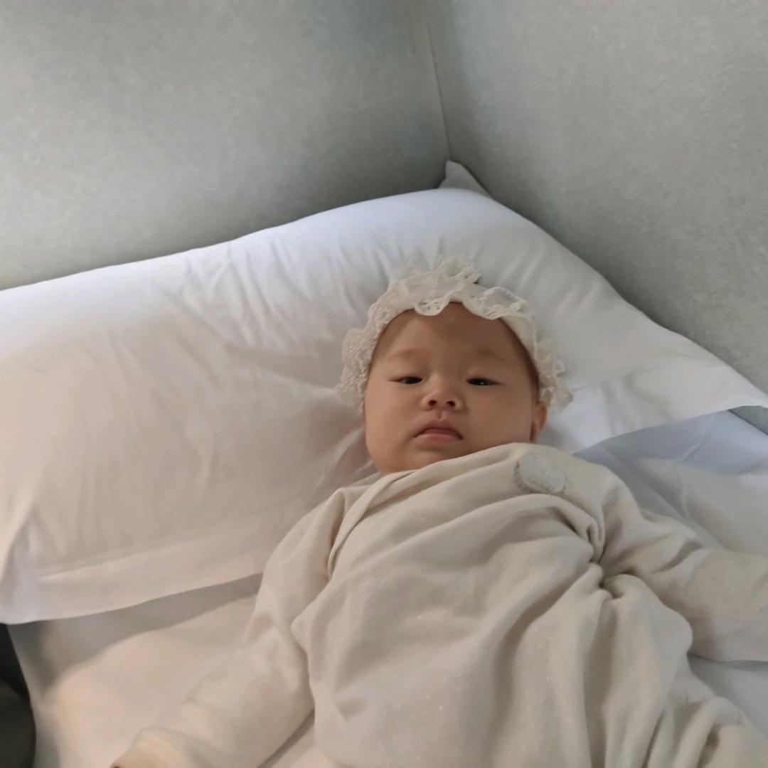 打工的鸿