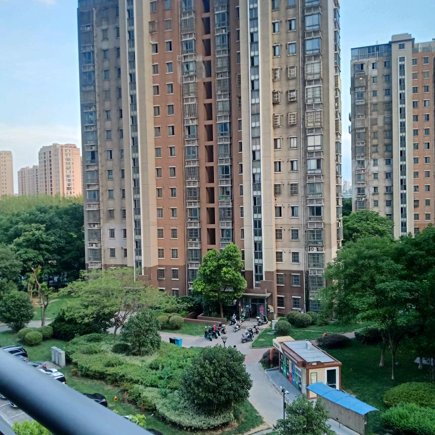 拼搏的浩哥
