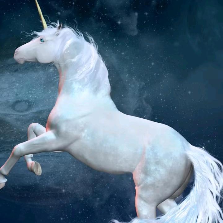 建国(铭鑫汽车搬运工）