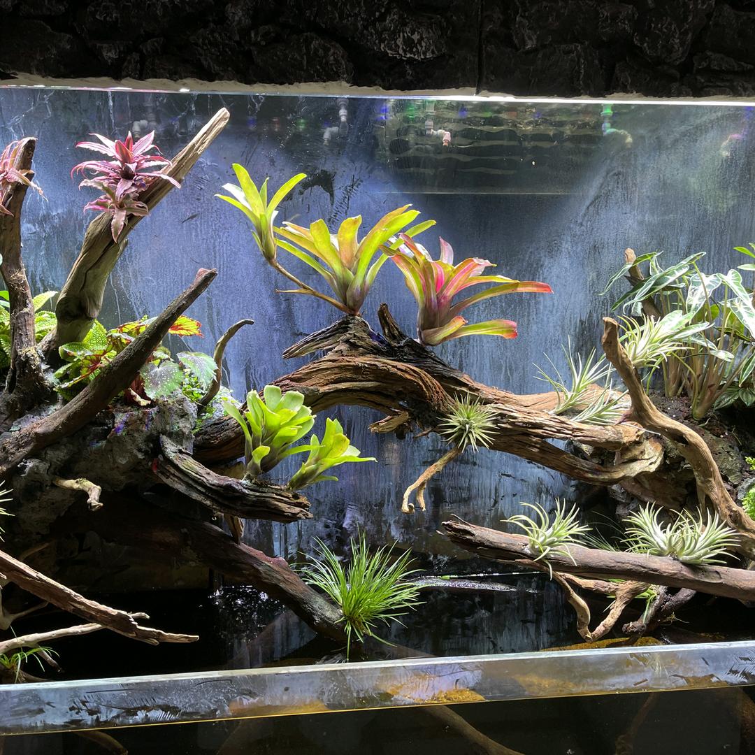 植然之家鱼缸经销部
