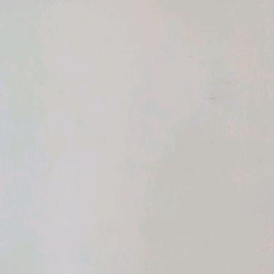 李八哥