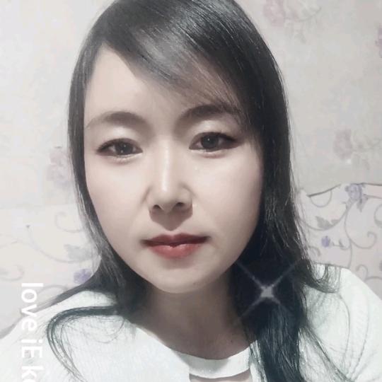 翱翔的燕子