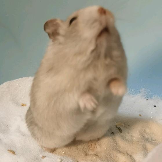 天马行空🇨🇳🇨🇳🇨🇳